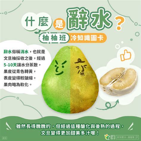 辭水 台語|食源縱谷